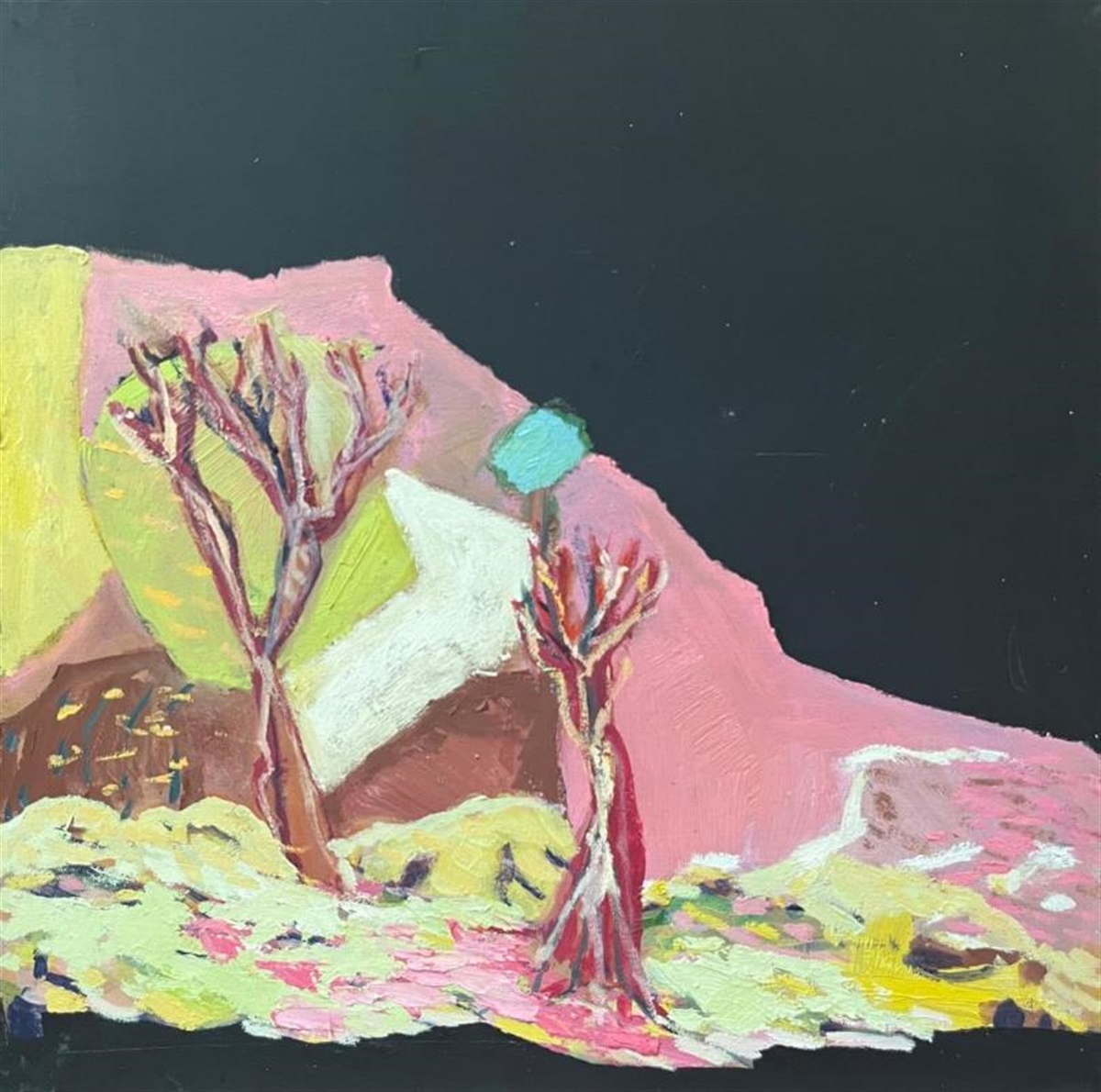 Woolshed Road Nina Machielse Hunt Wangaratta Art Gallery