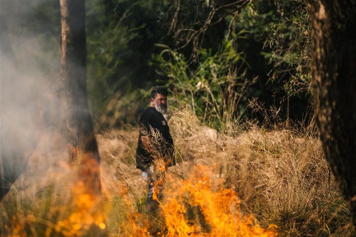 Spark | Bushfire recovery through art Wangaratta Art Gallery