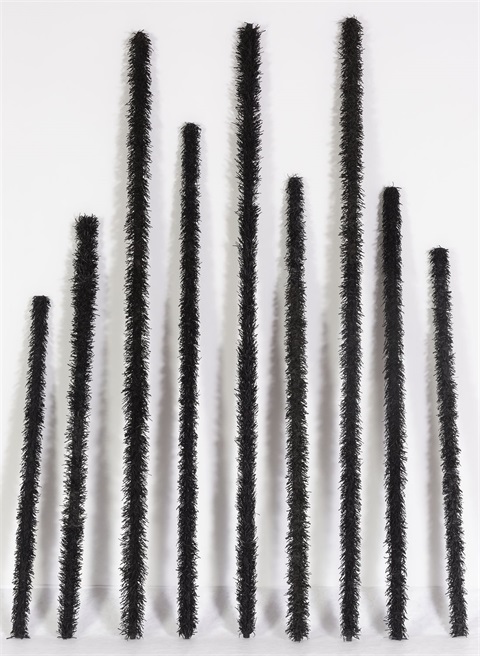 GUNN, Mandy - Fire Sticks (Burn Out Series) - G.2009.12 (cropped).jpg